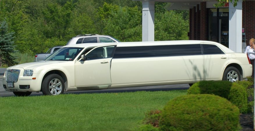 white limo near a green garden