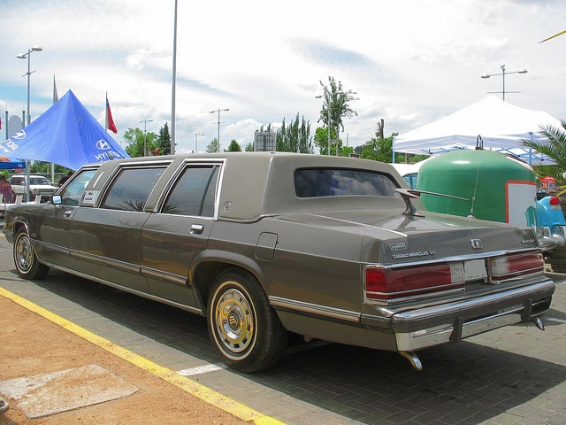 Limo family fun