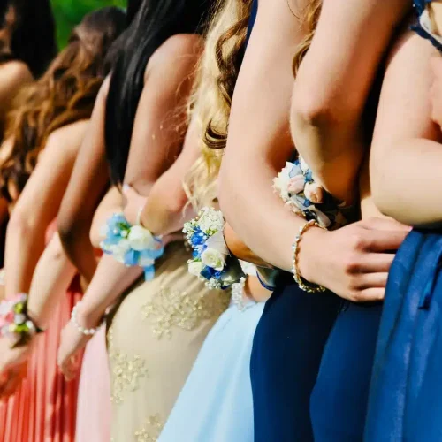 Line of girls dressed for prom